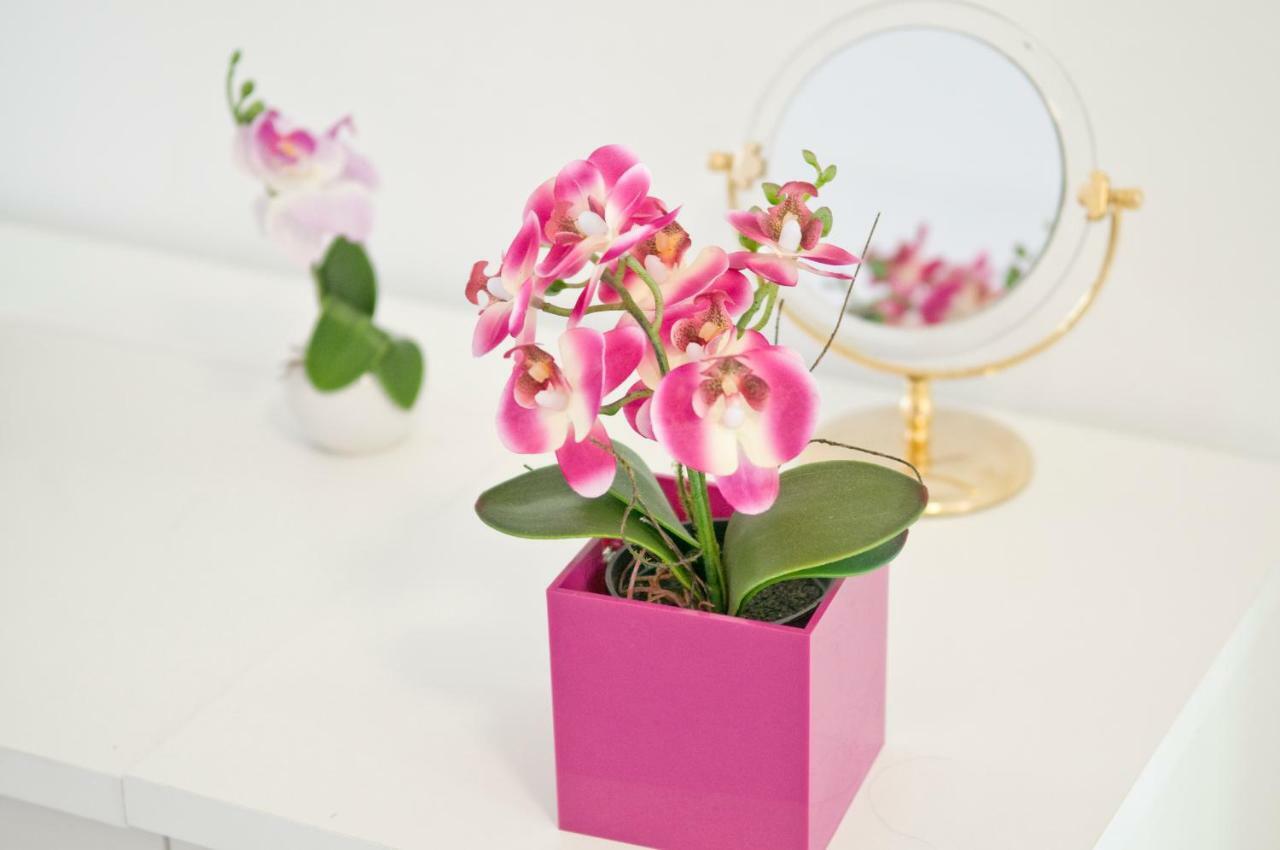Loft Orchidee 2 Lejlighed Uberlingen Eksteriør billede